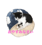 ミルさんスタンプ3（個別スタンプ：4）