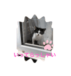 ミルさんスタンプ3（個別スタンプ：5）