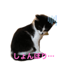 ミルさんスタンプ3（個別スタンプ：9）