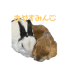 船乗りうさお（個別スタンプ：5）