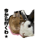 船乗りうさお（個別スタンプ：8）