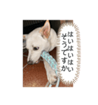 ちょっと毒舌（個別スタンプ：1）