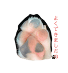 ちょっと毒舌（個別スタンプ：2）