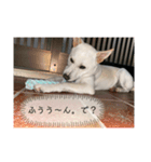 ちょっと毒舌（個別スタンプ：3）