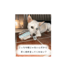 ちょっと毒舌（個別スタンプ：5）