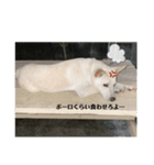 ちょっと毒舌（個別スタンプ：6）