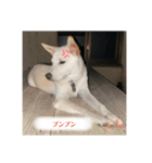 ちょっと毒舌（個別スタンプ：8）