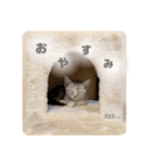 ごまちん（個別スタンプ：4）