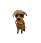 個太郎スタンプ（個別スタンプ：5）