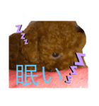 個太郎スタンプ（個別スタンプ：7）