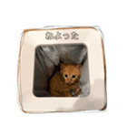 ティアばあちゃんとあめ2（個別スタンプ：6）