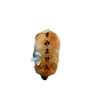 ポメラニアンポポ（個別スタンプ：3）