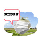 マスクメロンんさん（個別スタンプ：6）