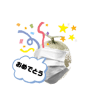 マスクメロンんさん（個別スタンプ：21）