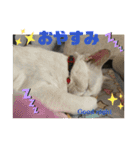 メイちゃんスタンプときどきコウキ（個別スタンプ：2）