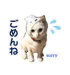 メイちゃんスタンプときどきコウキ（個別スタンプ：4）