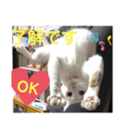 メイちゃんスタンプときどきコウキ（個別スタンプ：5）