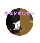 メイちゃんスタンプときどきコウキ（個別スタンプ：10）