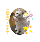 メイちゃんスタンプときどきコウキ（個別スタンプ：11）