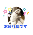 メイちゃんスタンプときどきコウキ（個別スタンプ：12）