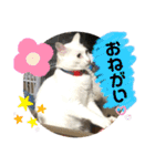メイちゃんスタンプときどきコウキ（個別スタンプ：13）