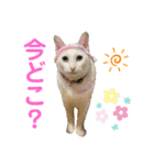 メイちゃんスタンプときどきコウキ（個別スタンプ：14）