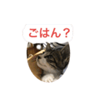 らるコレクション（個別スタンプ：1）