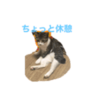 らるコレクション（個別スタンプ：2）
