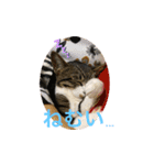 らるコレクション（個別スタンプ：5）