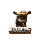 らるコレクション（個別スタンプ：7）