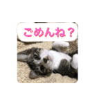 らるコレクション（個別スタンプ：10）