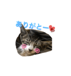 らるコレクション（個別スタンプ：12）