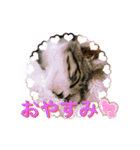 らるコレクション（個別スタンプ：13）