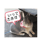 スコラビ（個別スタンプ：7）