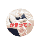 ネコのクゥとミヤ（個別スタンプ：26）