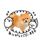 ワンコ3S（個別スタンプ：2）