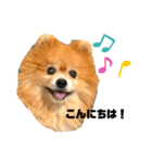 ワンコ3S（個別スタンプ：4）
