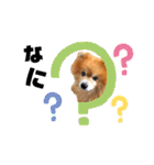 ワンコ3S（個別スタンプ：6）