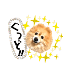 ワンコ3S（個別スタンプ：15）