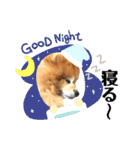 ワンコ3S（個別スタンプ：26）