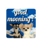 ニードルフェルト犬（個別スタンプ：1）
