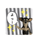 ニードルフェルト犬（個別スタンプ：3）