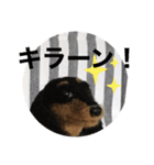 ニードルフェルト犬（個別スタンプ：6）