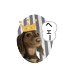 ニードルフェルト犬（個別スタンプ：7）