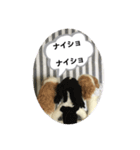 ニードルフェルト犬（個別スタンプ：8）