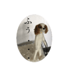 ニードルフェルト犬（個別スタンプ：11）