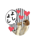 ニードルフェルト犬（個別スタンプ：19）