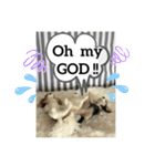 ニードルフェルト犬（個別スタンプ：20）