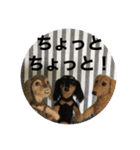 ニードルフェルト犬（個別スタンプ：28）