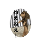 ニードルフェルト犬（個別スタンプ：29）